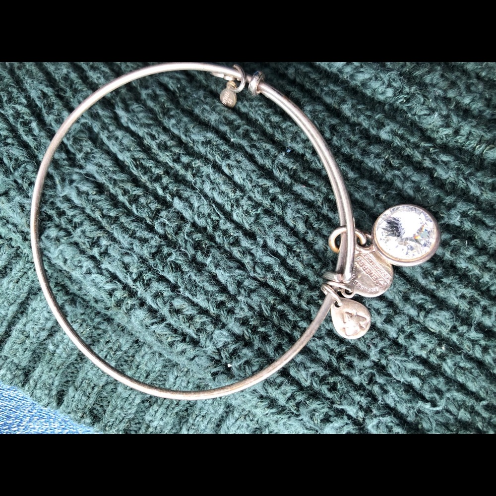Alex And Ani Bangle